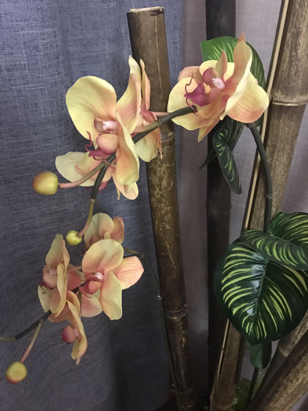 推荐思明区高端足疗休闲会所(推荐思明区高端足疗休闲会所)